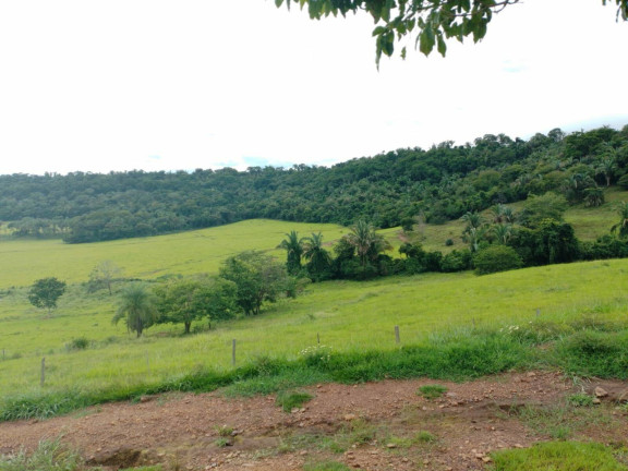Imagem Chácara à Venda, em Cuiabá Imagem Chácara à Venda, em Cuiabá