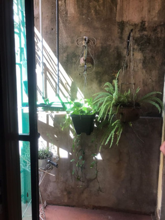 Imagem Casa com 3 Quartos à Venda, 202 m² em Núcleo Residencial Edison Bastos Gasparini - Bauru Imagem Casa com 3 Quartos à Venda, 202 m² em Núcleo Residencial Edison Bastos Gasparini - Bauru