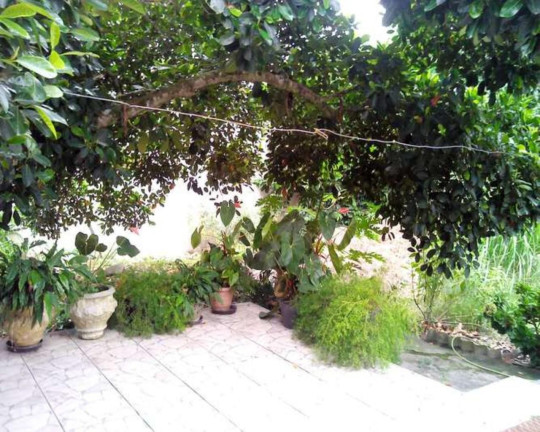 Imagem Casa com 3 Quartos à Venda, 147 m² em Centro - São Pedro Da Aldeia Imagem Casa com 3 Quartos à Venda, 147 m² em Centro - São Pedro Da Aldeia