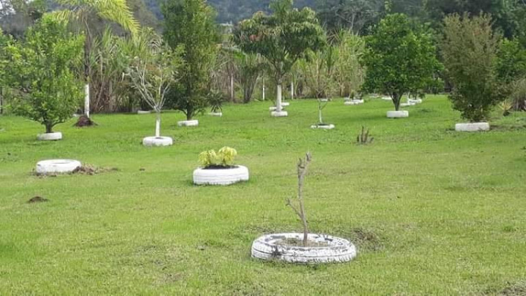 Imagem Chácara com 3 Quartos à Venda, 100 m² em Anta Gorda - Itariri Imagem Chácara com 3 Quartos à Venda, 100 m² em Anta Gorda - Itariri