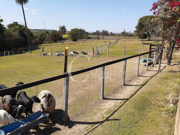 Imagem Chácara com 4 Quartos à Venda, 2 m² em área Rural De Mogi Mirim - Moji Mirim Imagem Chácara com 4 Quartos à Venda, 2 m² em área Rural De Mogi Mirim - Moji Mirim