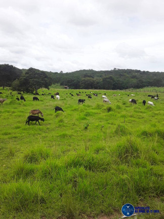 Imagem Fazenda à Venda, 57 m² em Zona Rural - Mozarlândia Imagem Fazenda à Venda, 57 m² em Zona Rural - Mozarlândia