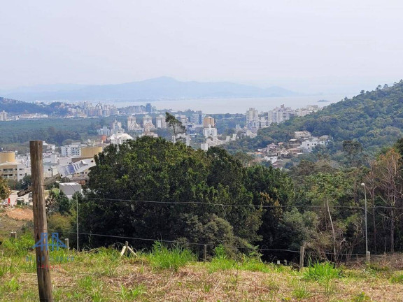 Imagem Terreno à Venda, 485 m² em Itacorubi - Florianópolis Imagem Terreno à Venda, 485 m² em Itacorubi - Florianópolis