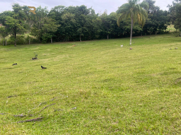 Imagem Chácara com 2 Quartos à Venda, 32.000 m² em Fazenda Fialho - Taquara Imagem Chácara com 2 Quartos à Venda, 32.000 m² em Fazenda Fialho - Taquara