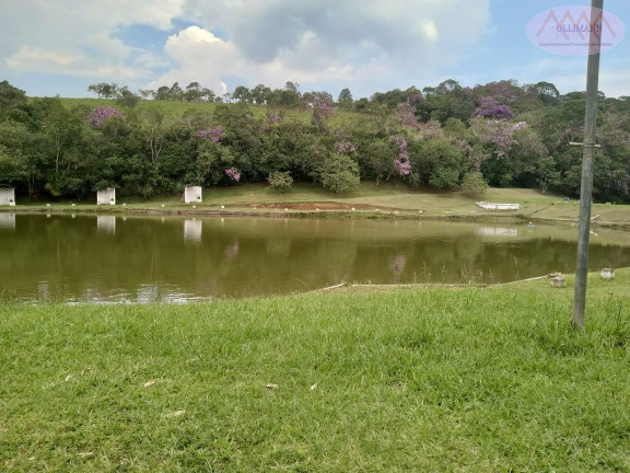 Imagem Casa à Venda, 30.000 m² em Quinta Divisão - Suzano