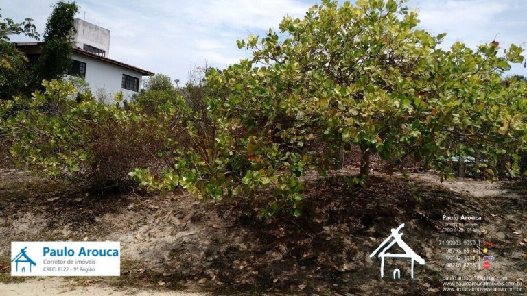 Imagem Terreno em Condomínio à Venda, 900 m² em Busca Vida (abrantes) - Camaçari Imagem Terreno em Condomínio à Venda, 900 m² em Busca Vida (abrantes) - Camaçari