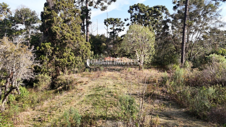 Imagem Imóvel à Venda, em Região Do Atalaia - Campos Do Jordão Imagem Imóvel à Venda, em Região Do Atalaia - Campos Do Jordão