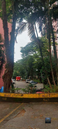 Imagem Apartamento com 2 Quartos à Venda, 60 m² em Cidade Ademar - São Paulo Imagem Apartamento com 2 Quartos à Venda, 60 m² em Cidade Ademar - São Paulo