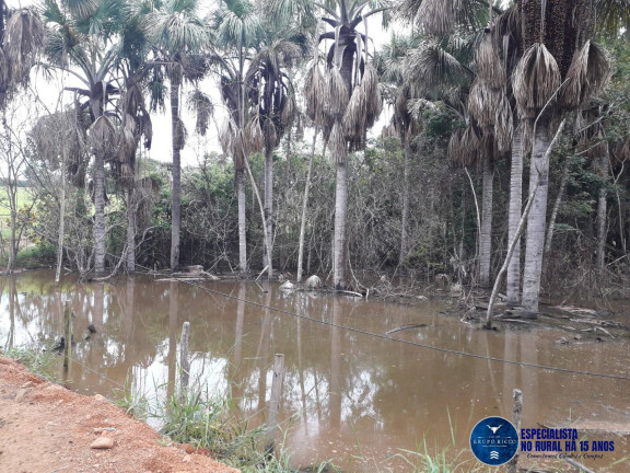 Imagem Chácara à Venda, 13 m² em Zona Rural - Jaraguá Imagem Chácara à Venda, 13 m² em Zona Rural - Jaraguá