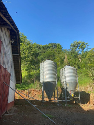 Imagem Terreno à Venda, 48.800 m² em Interior - Cordilheira Alta Imagem Terreno à Venda, 48.800 m² em Interior - Cordilheira Alta