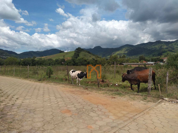 Imagem Terreno à Venda, 250 m² em Centro - Piranguçu