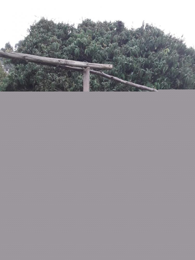 Imagem Terreno à Venda, 1.600 m² em Caete (mailasqui) - São Roque
