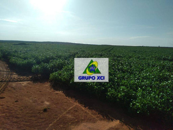 Imagem Fazenda à Venda, 3.388.000 m² em Zona Rural - Ponte Alta Do Tocantins Imagem Fazenda à Venda, 3.388.000 m² em Zona Rural - Ponte Alta Do Tocantins