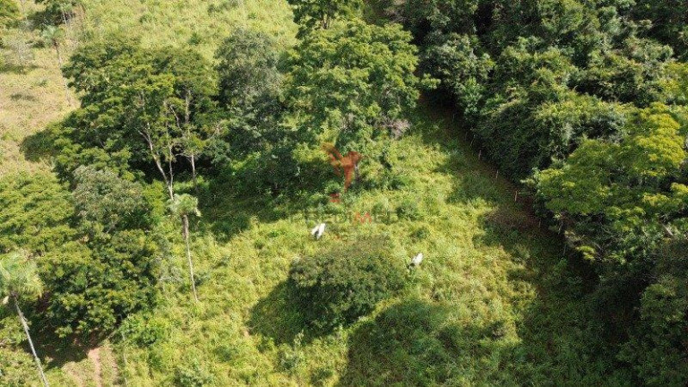 Imagem Imóvel com 2 Quartos à Venda, 70.000 m² em Centro - Santo Antônio De Goiás Imagem Imóvel com 2 Quartos à Venda, 70.000 m² em Centro - Santo Antônio De Goiás