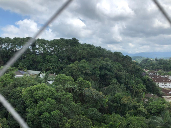 Imagem Apartamento com 3 Quartos à Venda, 307 m² em Atiradores - Joinville