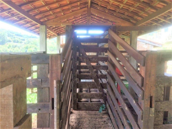 Imagem Imóvel com 3 Quartos à Venda, 448.000 m² em Roseta - Cambuí