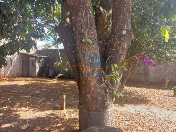 Imagem Imóvel com 4 Quartos à Venda, 3.200 m² em Cândido Portinari - Ribeirão Preto Imagem Imóvel com 4 Quartos à Venda, 3.200 m² em Cândido Portinari - Ribeirão Preto