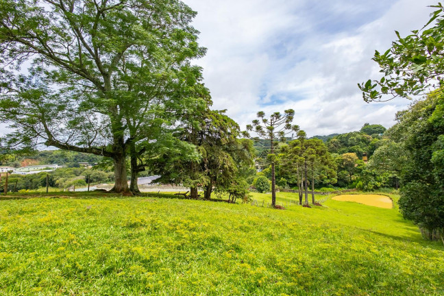 Imagem Imóvel com 4 Quartos à Venda, 11.216 m² em Vila Santa Terezinha - Campo Largo Imagem Imóvel com 4 Quartos à Venda, 11.216 m² em Vila Santa Terezinha - Campo Largo