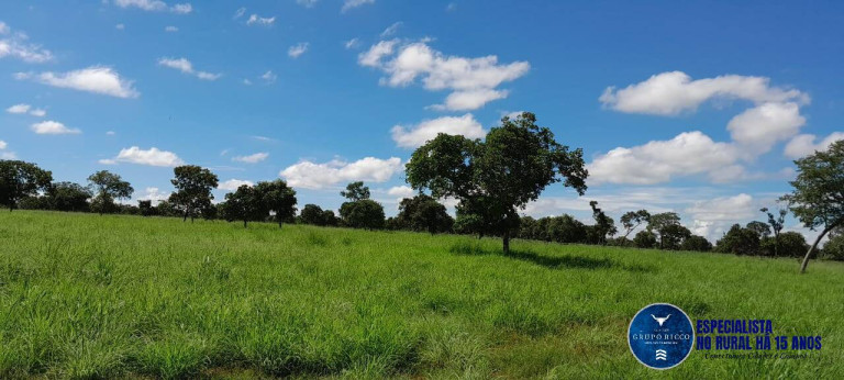 Imagem Fazenda à Venda, 294 m² em Zona Rural - Arraias Imagem Fazenda à Venda, 294 m² em Zona Rural - Arraias