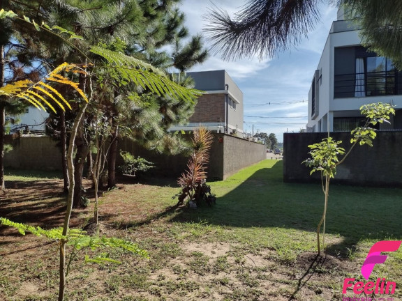 Imagem Casa com 3 Quartos à Venda, 178 m² em Campeche - Florianópolis Imagem Casa com 3 Quartos à Venda, 178 m² em Campeche - Florianópolis