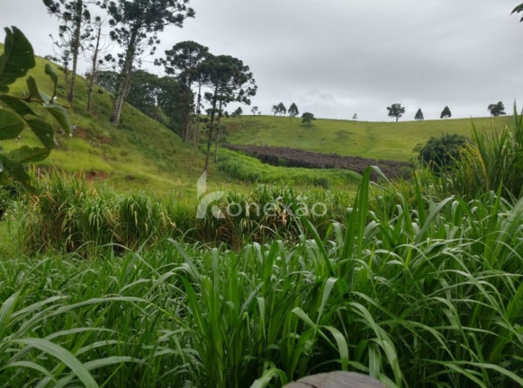 Imagem Fazenda à Venda, 100 m² em Cachoeira Grande - Lagoinha Imagem Fazenda à Venda, 100 m² em Cachoeira Grande - Lagoinha
