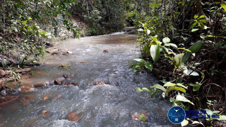 Imagem Fazenda à Venda, 31 m² em Zona Rural - Niquelândia Imagem Fazenda à Venda, 31 m² em Zona Rural - Niquelândia