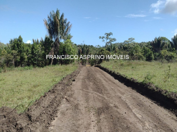 Imagem Imóvel à Venda, 2 m² em Serra Grande - Uruçuca Imagem Imóvel à Venda, 2 m² em Serra Grande - Uruçuca