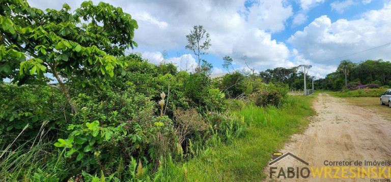 Imagem Terreno à Venda, 442 m² em Praia Do Erwino - São Francisco Do Sul Imagem Terreno à Venda, 442 m² em Praia Do Erwino - São Francisco Do Sul