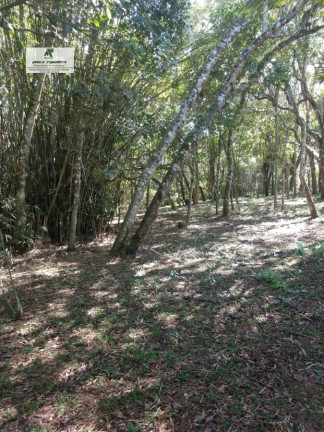 Imagem Chácara com 3 Quartos à Venda, 29.000 m² em Verava - Ibiúna Imagem Chácara com 3 Quartos à Venda, 29.000 m² em Verava - Ibiúna