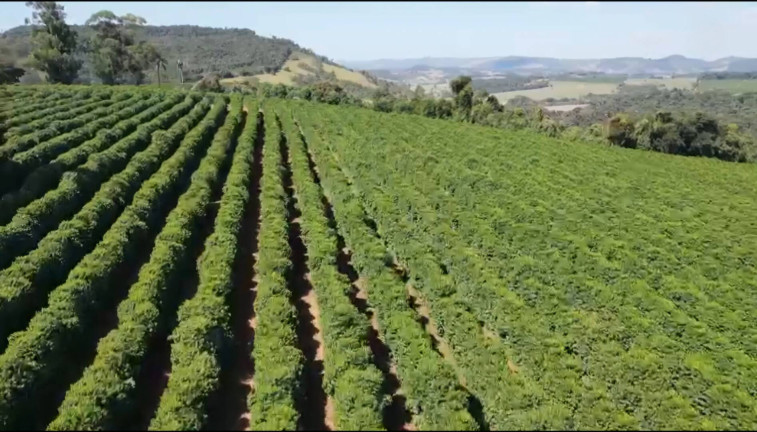 Imagem Fazenda à Venda, 145 m² em Alpinópolis Imagem Fazenda à Venda, 145 m² em Alpinópolis