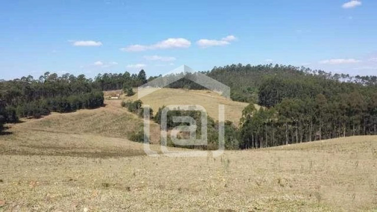 Imagem Imóvel com 5 Quartos à Venda, 19 m² em Taquari - Caldas Imagem Imóvel com 5 Quartos à Venda, 19 m² em Taquari - Caldas
