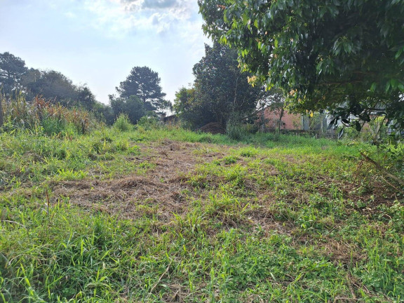 Imagem Terreno à Venda, 850 m² em Fiuza - Viamão
