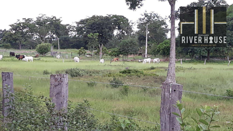 Imagem Chácara com 2 Quartos à Venda, 2.500 m² em Pedra 90 - Cuiabá Imagem Chácara com 2 Quartos à Venda, 2.500 m² em Pedra 90 - Cuiabá