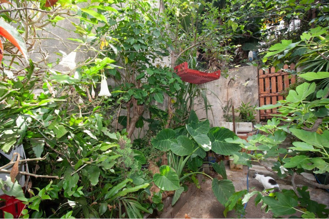 Imagem Casa com 3 Quartos à Venda, 154 m² em Bela Vista - São Paulo Imagem Casa com 3 Quartos à Venda, 154 m² em Bela Vista - São Paulo