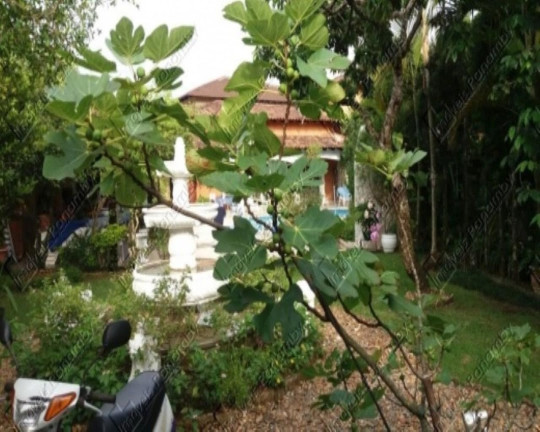Imagem Casa com 5 Quartos à Venda ou Temporada, 490 m² em Praia Da Enseada - Bertioga Imagem Casa com 5 Quartos à Venda ou Temporada, 490 m² em Praia Da Enseada - Bertioga