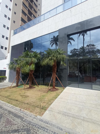 Imagem Apartamento com 3 Quartos à Venda, 89 m² em Lourdes - Belo Horizonte Imagem Apartamento com 3 Quartos à Venda, 89 m² em Lourdes - Belo Horizonte