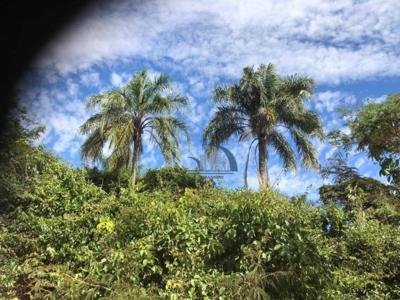 Imagem Fazenda à Venda, 5.142.500 m² em Centro - Dracena