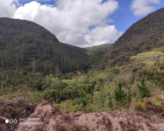 Imagem Imóvel à Venda, 2.500.000 m² em Fazenda Bela Vista - Nova Friburgo