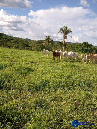 Imagem Fazenda à Venda, 190 m² em Zona Rural - Caldas Novas Imagem Fazenda à Venda, 190 m² em Zona Rural - Caldas Novas