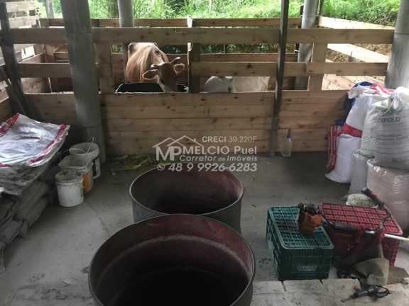 Imagem Imóvel com 3 Quartos à Venda,  em Centro - Major Gercino
