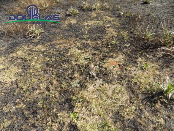 Imagem Terreno à Venda, 853 m² em Viamão Imagem Terreno à Venda, 853 m² em Viamão