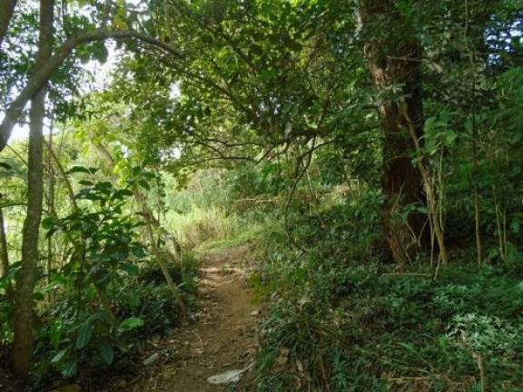 Imagem Terreno à Venda, 6.330 m² em Agriões - Teresópolis Imagem Terreno à Venda, 6.330 m² em Agriões - Teresópolis