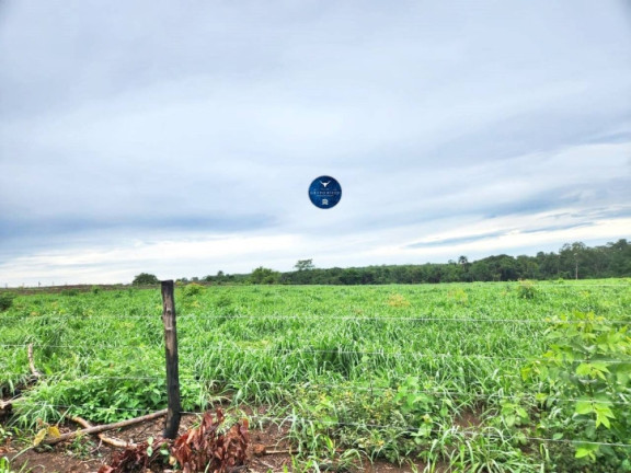 Imagem Fazenda à Venda, 85 m² em Zona Rural - Araguaçu Imagem Fazenda à Venda, 85 m² em Zona Rural - Araguaçu