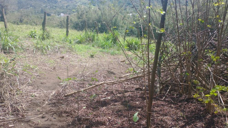 Imagem Terreno à Venda, 3.100 m² em Guaratiba - Rio De Janeiro