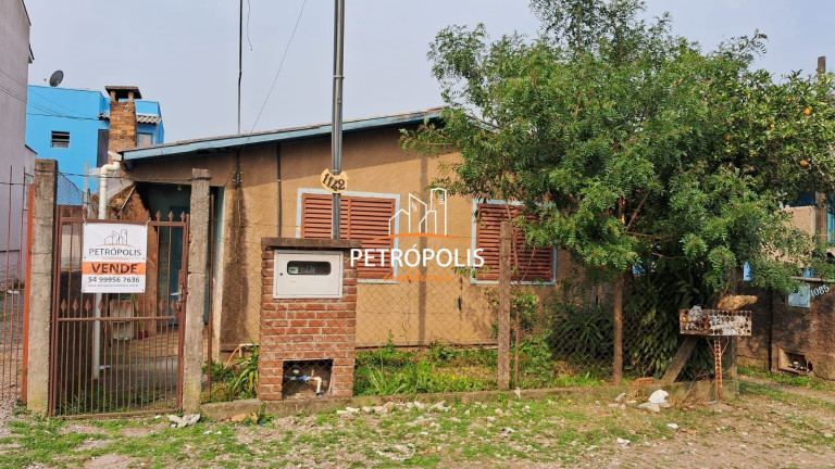 Imagem Casa com 2 Quartos à Venda, 50 m² em São Caetano - Caxias Do Sul Imagem Casa com 2 Quartos à Venda, 50 m² em São Caetano - Caxias Do Sul