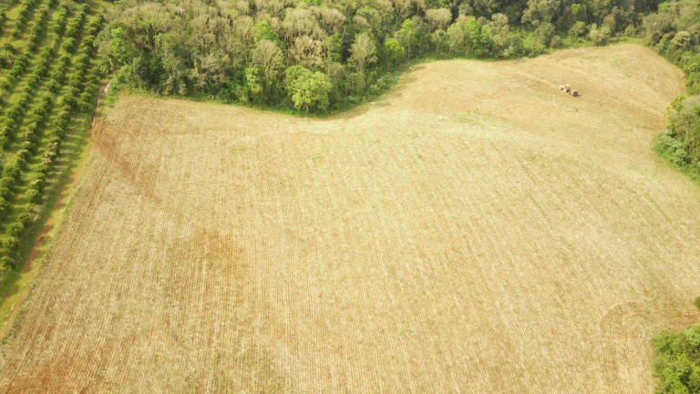 Imagem Terreno à Venda, 242.000 m² em Rural - Concórdia Imagem Terreno à Venda, 242.000 m² em Rural - Concórdia