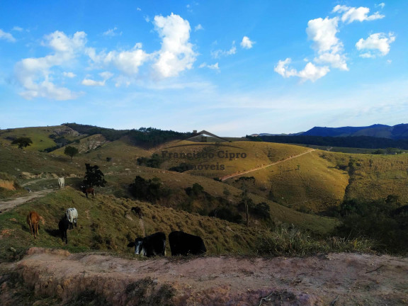 Imóvel com 3 Quartos à Venda, 1.210.000 m² em Catioca - Cunha