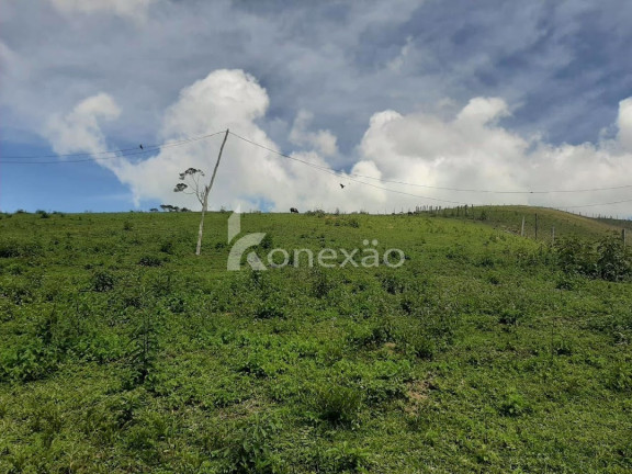 Imagem Fazenda à Venda, 600 m² em Pouso Alto - Natividade Da Serra Imagem Fazenda à Venda, 600 m² em Pouso Alto - Natividade Da Serra
