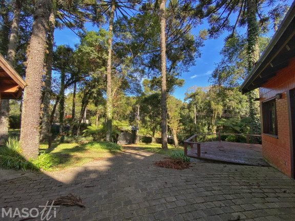 Imagem Casa com 3 Quartos à Venda, 35.747 m² em Bosque Sinoserra - Canela Imagem Casa com 3 Quartos à Venda, 35.747 m² em Bosque Sinoserra - Canela