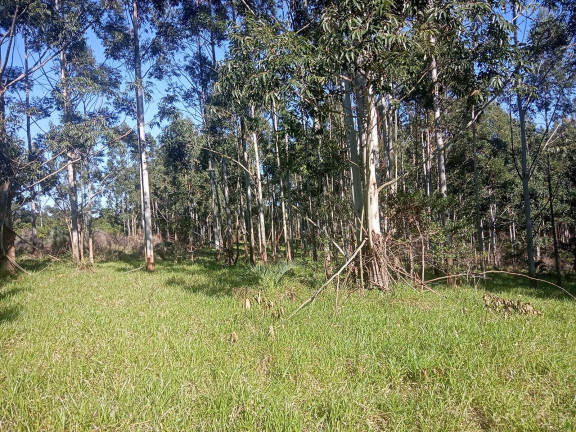 Imagem Chácara à Venda, 29.000 m² em Pimenta - Viamão